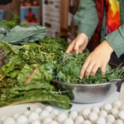 A person washing swiss chard from Current Farms in Louisiana